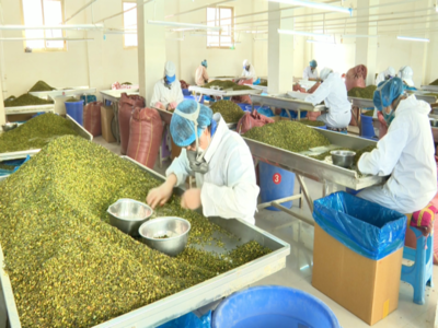 張掖市農業(yè)農村局