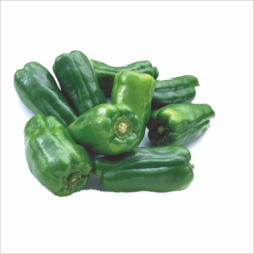 真實(shí)蔬菜各種食材 白菜馬鈴薯西紅柿胡蘿卜 png透明免扣設(shè)計(jì)素材 蔬菜免扣素材