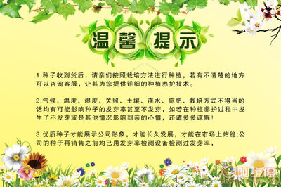 剪秋園藝廠家直銷蔬菜草籽 白豌豆與青豌豆，家庭陽臺種植的理想選擇